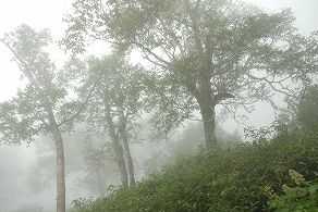 WS000121.JPG
