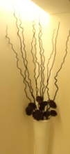 WS000430.JPG
