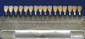 WS000485.JPG