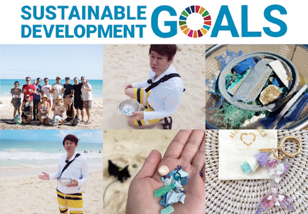 SDGs