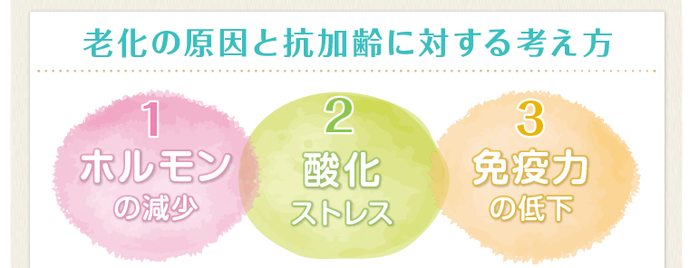 老化の原因と抗加齢に対する考え方