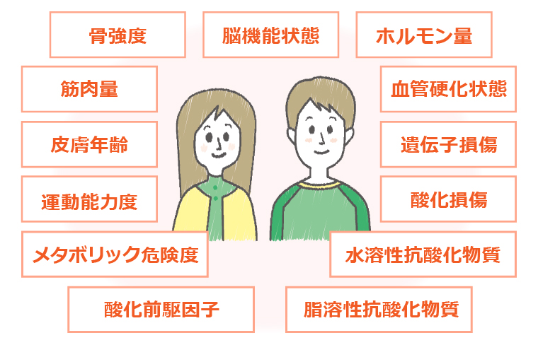 歯 アンチエイジング 測定