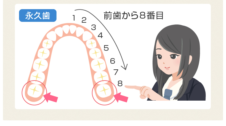 親知らず 位置