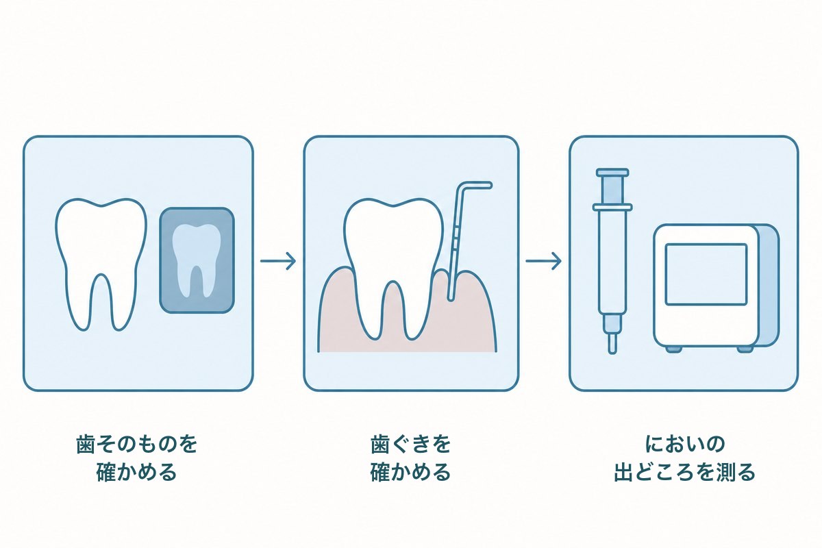 歯科で確かめる順番を3段階（歯そのもの・歯ぐき・においの出どころ）で示した図