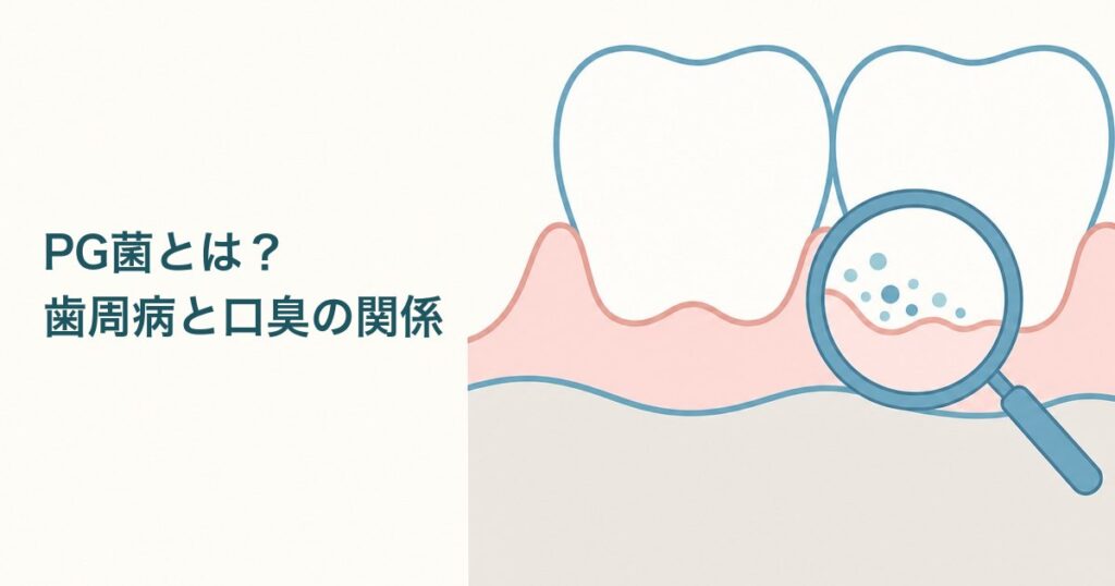 歯と歯ぐきの境目を虫めがねで見ている様子を表した、記事のアイキャッチ画像